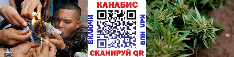 Бошки марихуана планчик Урень